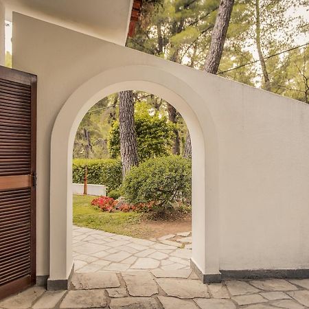 סאני ביץ' Beautiful Holiday Villa In Sani מראה חיצוני תמונה