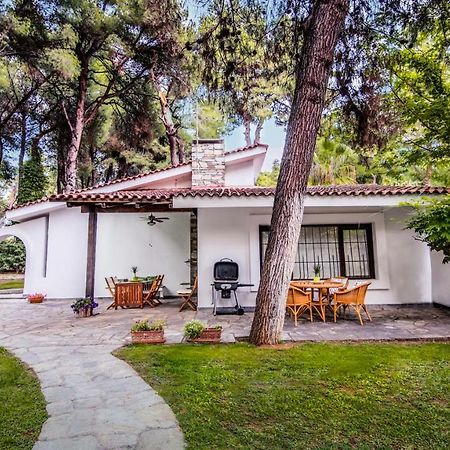 סאני ביץ' Beautiful Holiday Villa In Sani מראה חיצוני תמונה