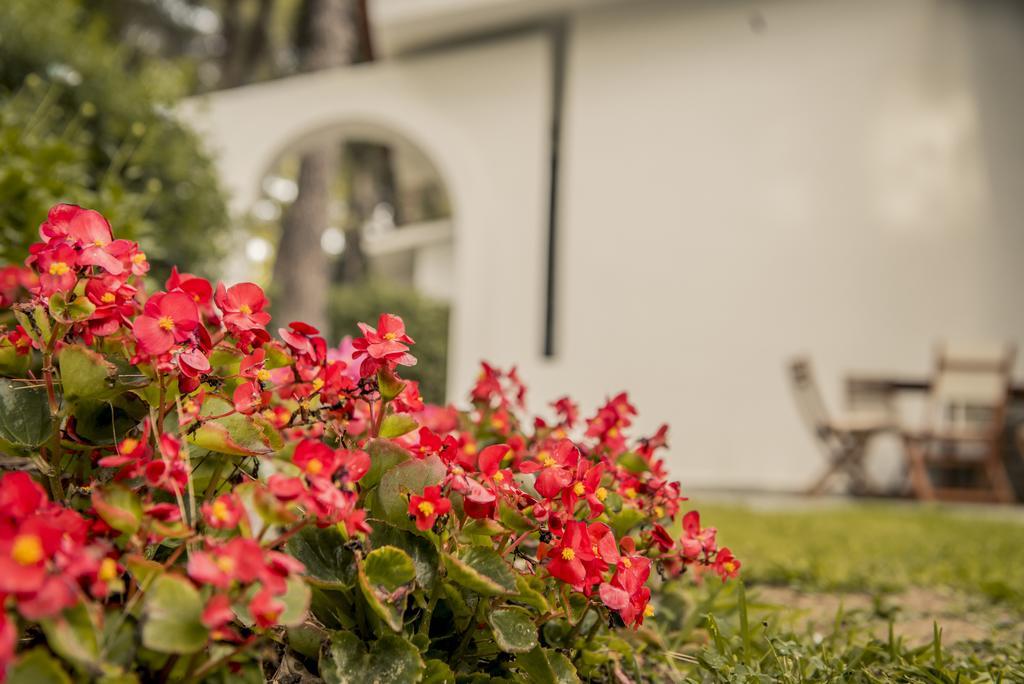 סאני ביץ' Beautiful Holiday Villa In Sani מראה חיצוני תמונה